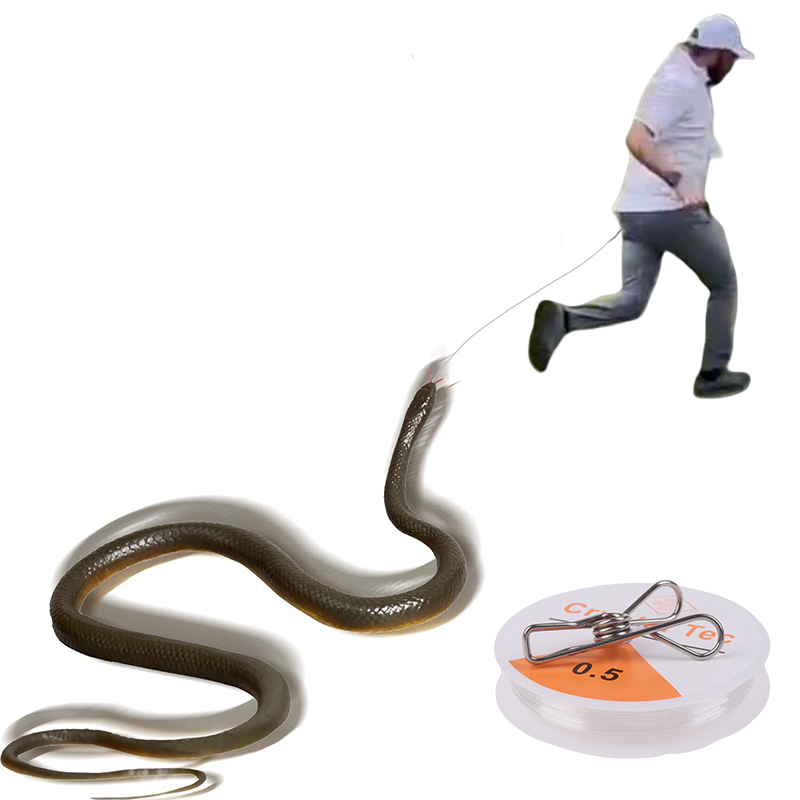 Outdoor Snake Prank with Strin - đánh giá và giá Prank Toys