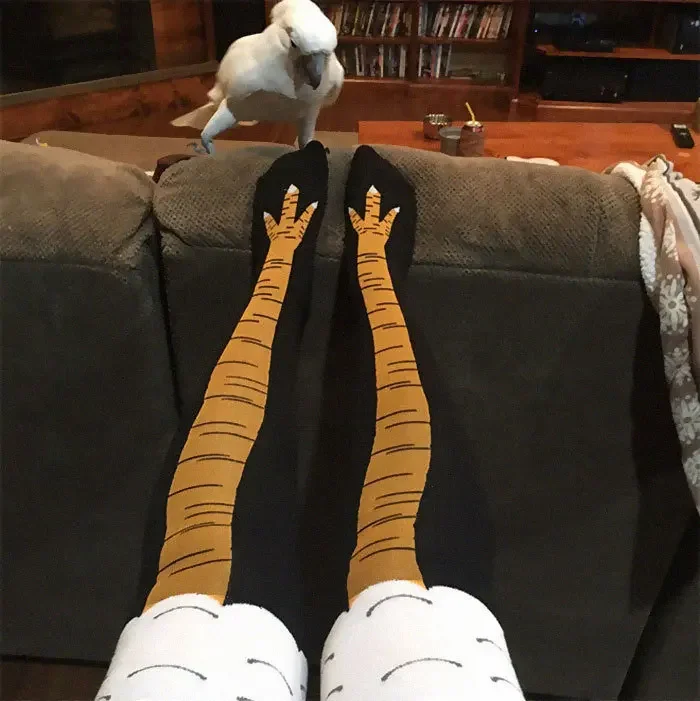 40Pairs 3D Funny Chicken Claw  - đánh giá và giá Funny Chicken Leg Socks